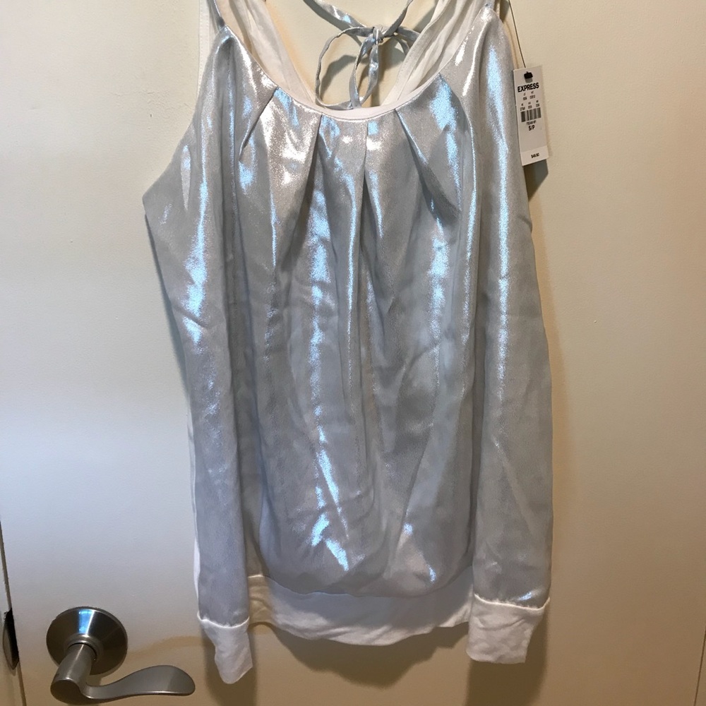 Express silver shimmer top